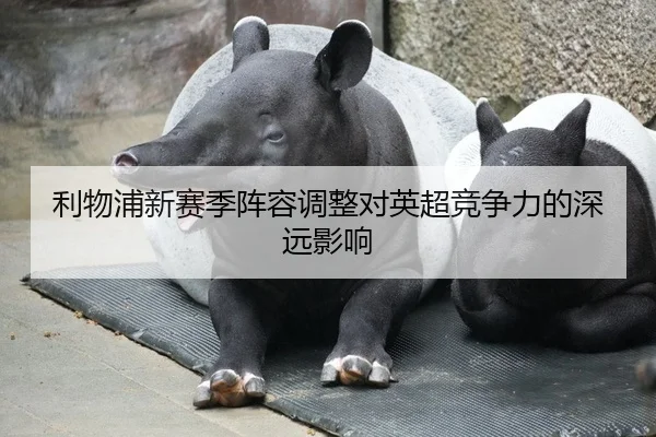 利物浦新赛季阵容调整对英超竞争力的深远影响